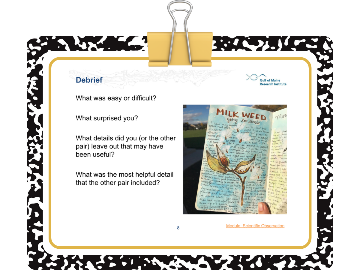 What is Scientific Observation?