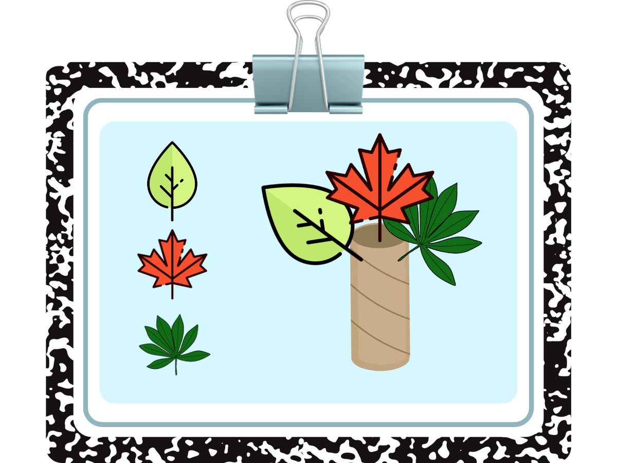 Build a Tree: Stem Challenge
