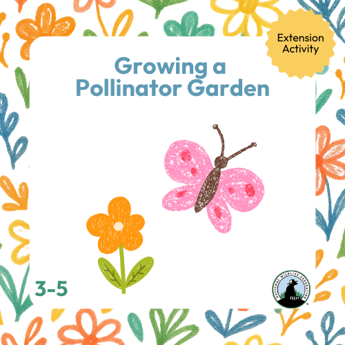a book cover with a picture of a butterfly and flowers