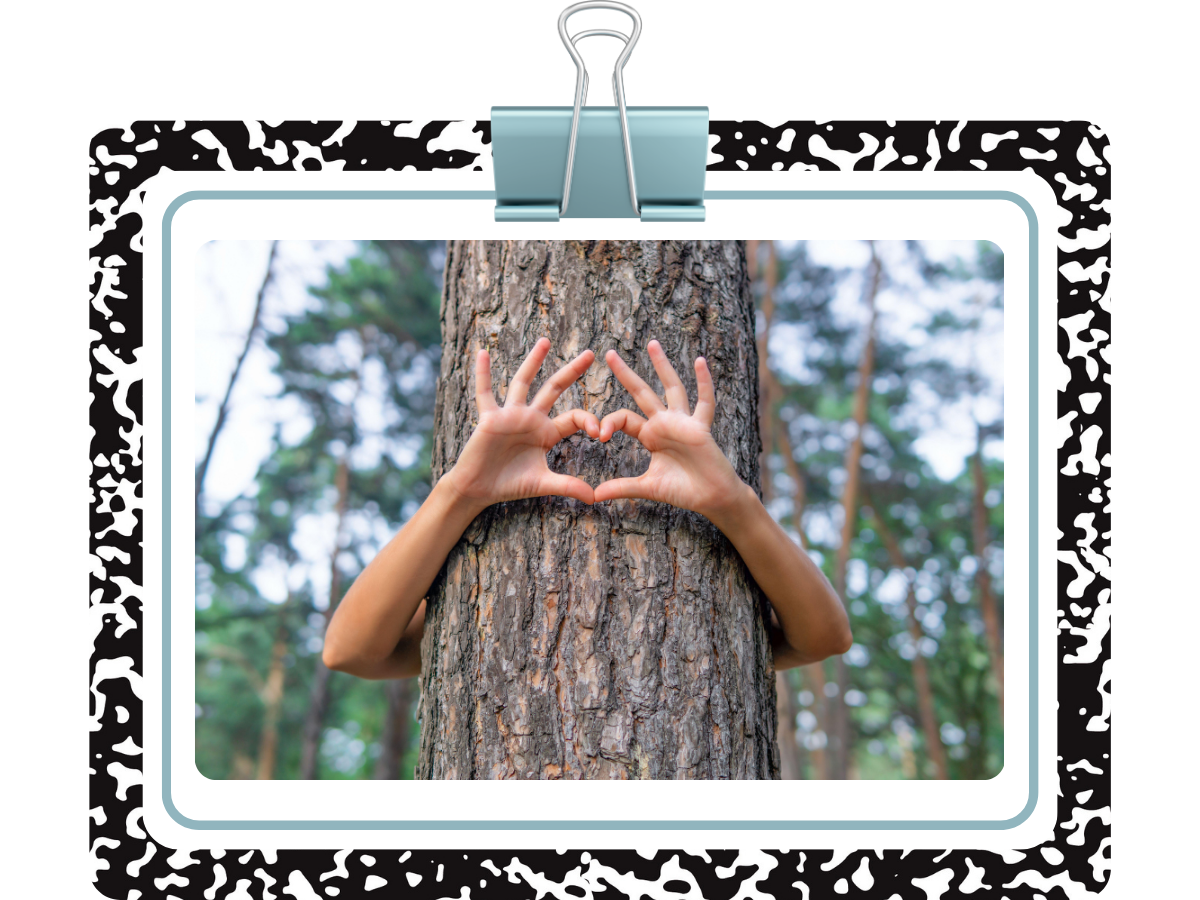 Make Friends with a Tree