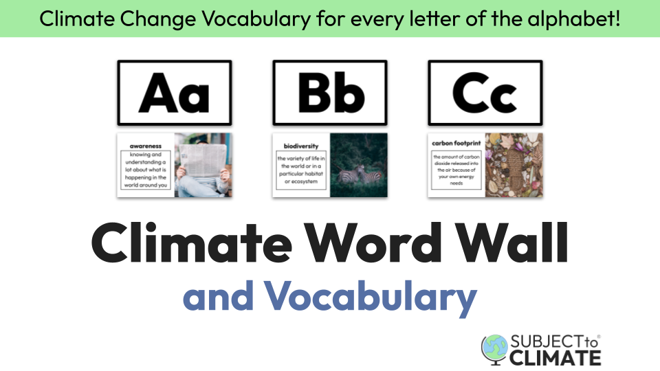 Vocabulary Words