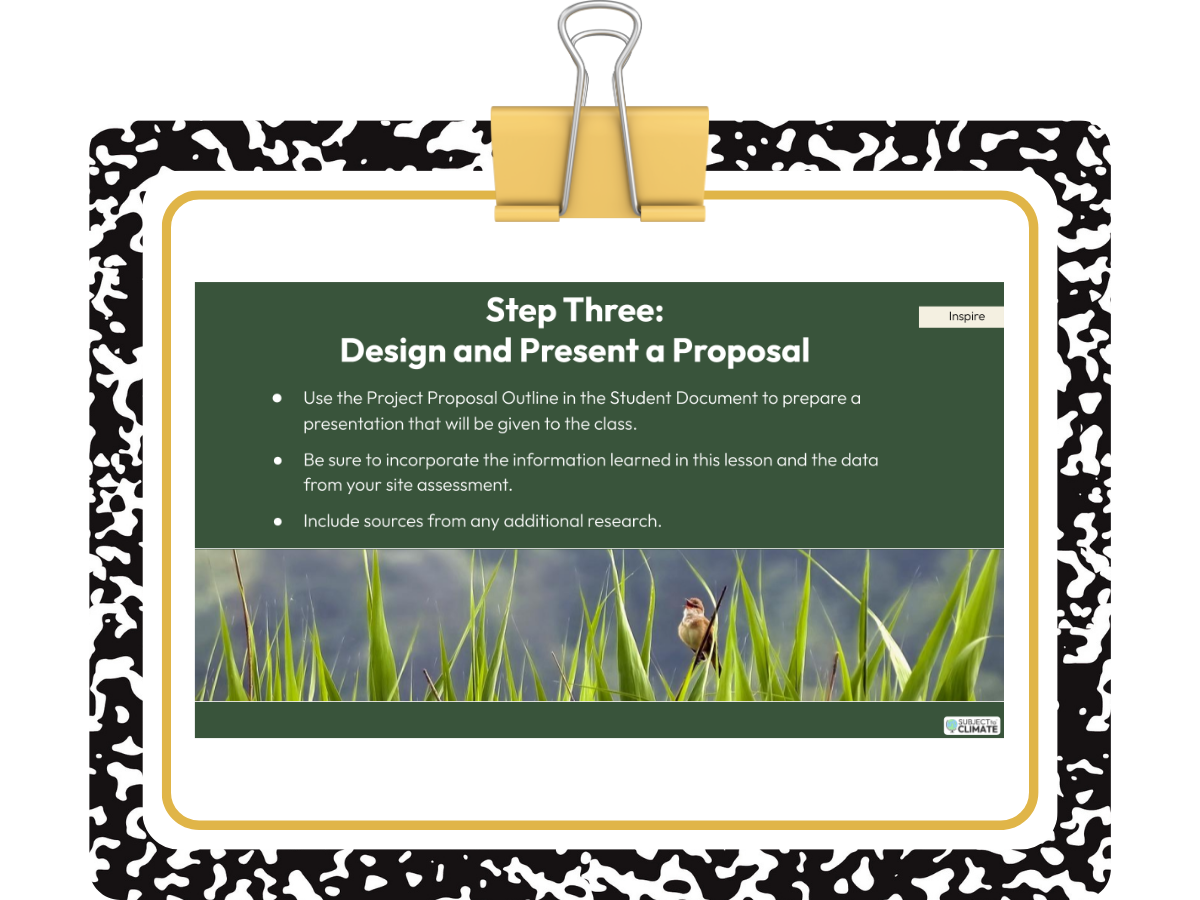 Design Thinking Solutions for Birds