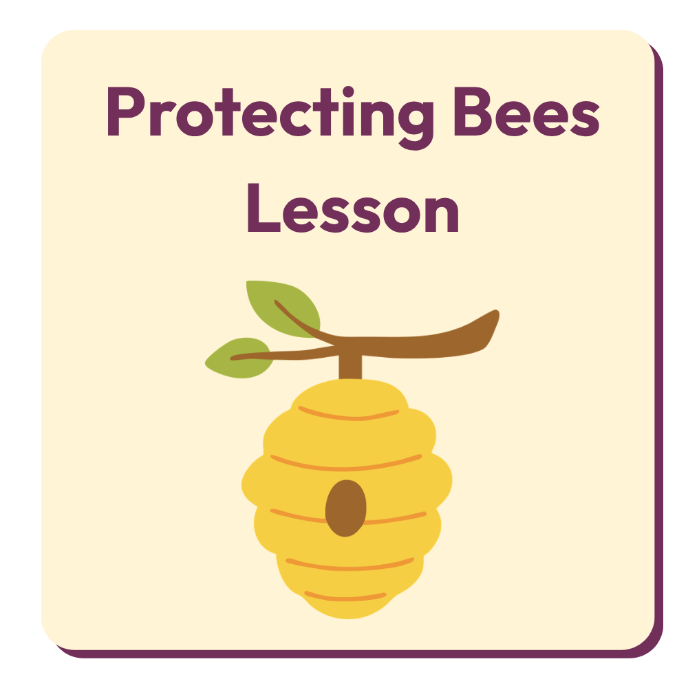 Protecting Bees Lesson