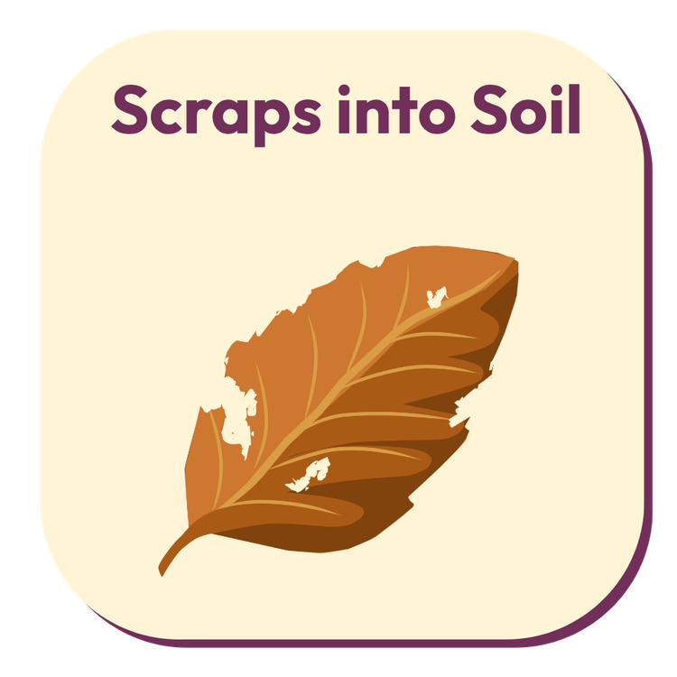 Composting: Science Lesson Composting: Science Lesson