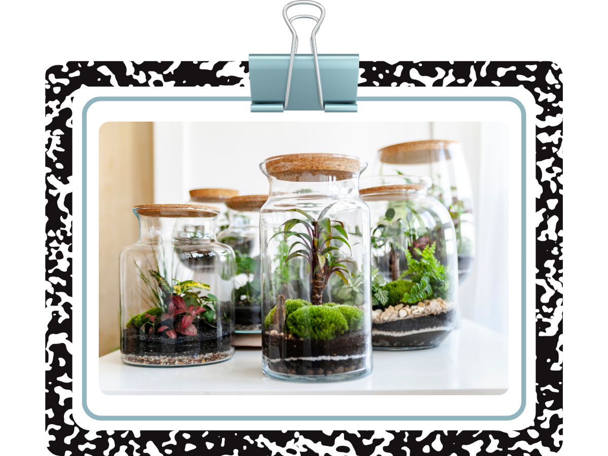 The Greenhouse Effect Experiment