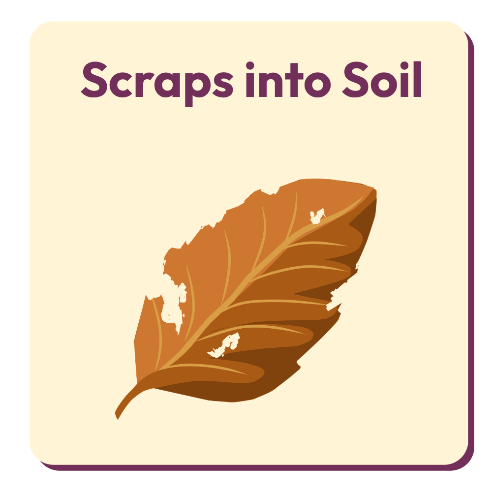 Scraps into Soil Scraps into Soil