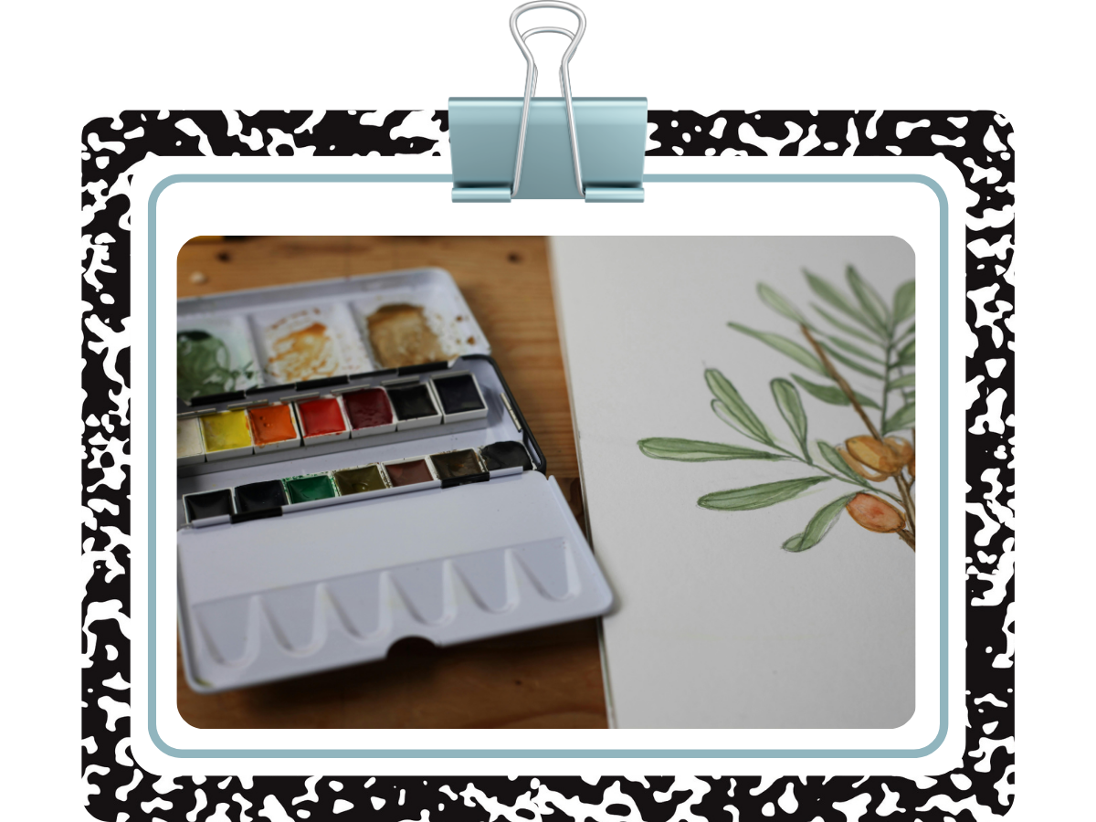 Plant pigment paint