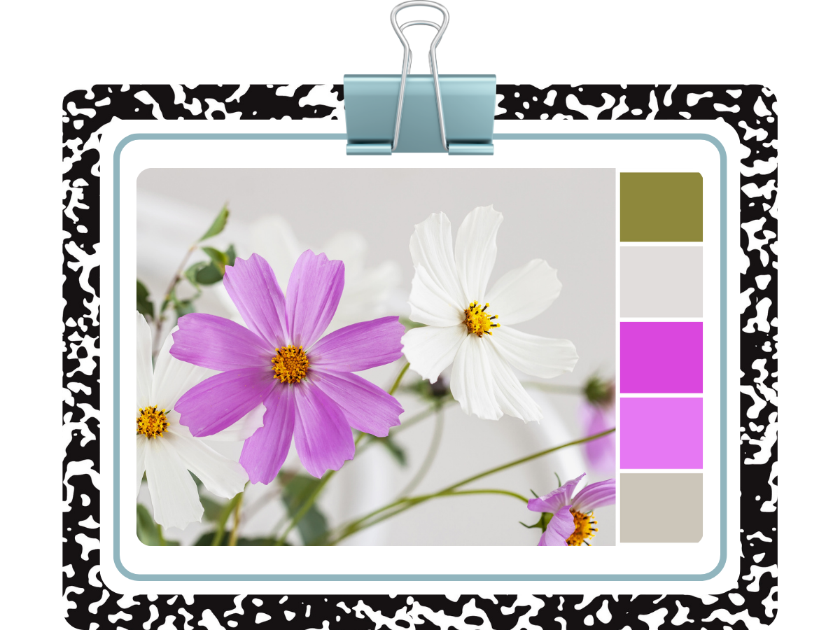 Colors of Place Activity