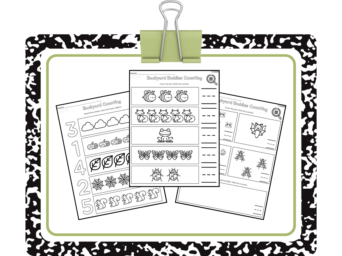 Backyard math: printable worksheet