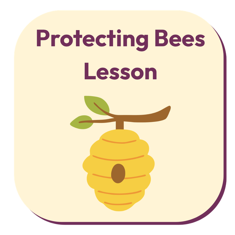 Protecting Bees Lesson