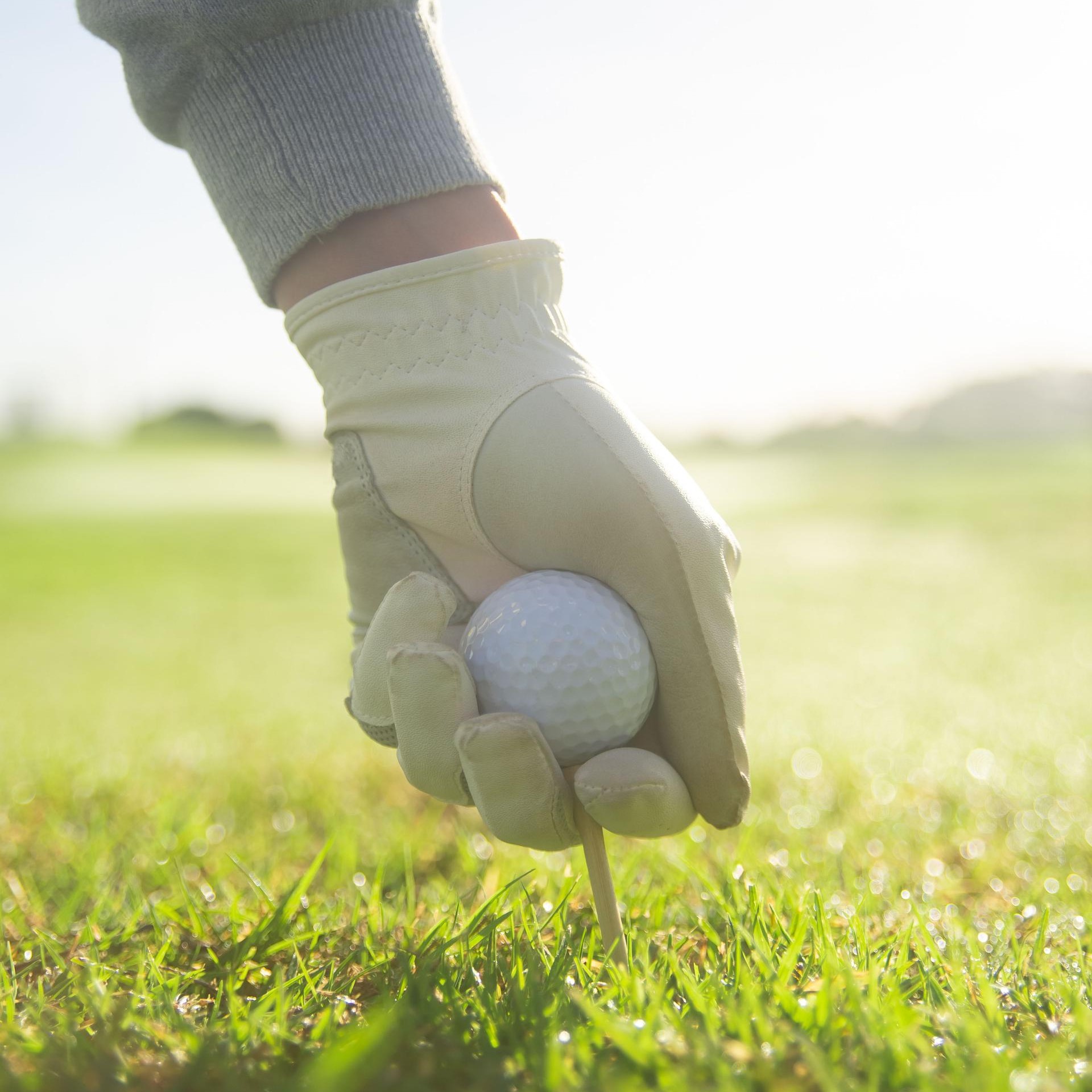 Golf Tee