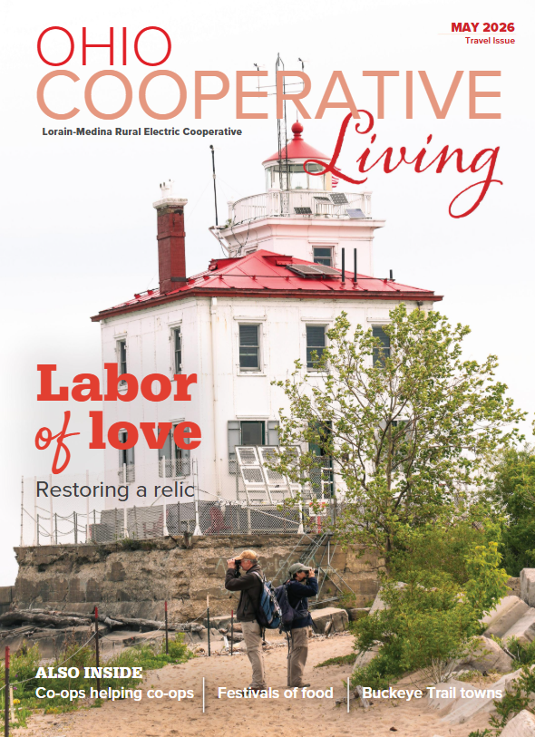 LMRE May Cover