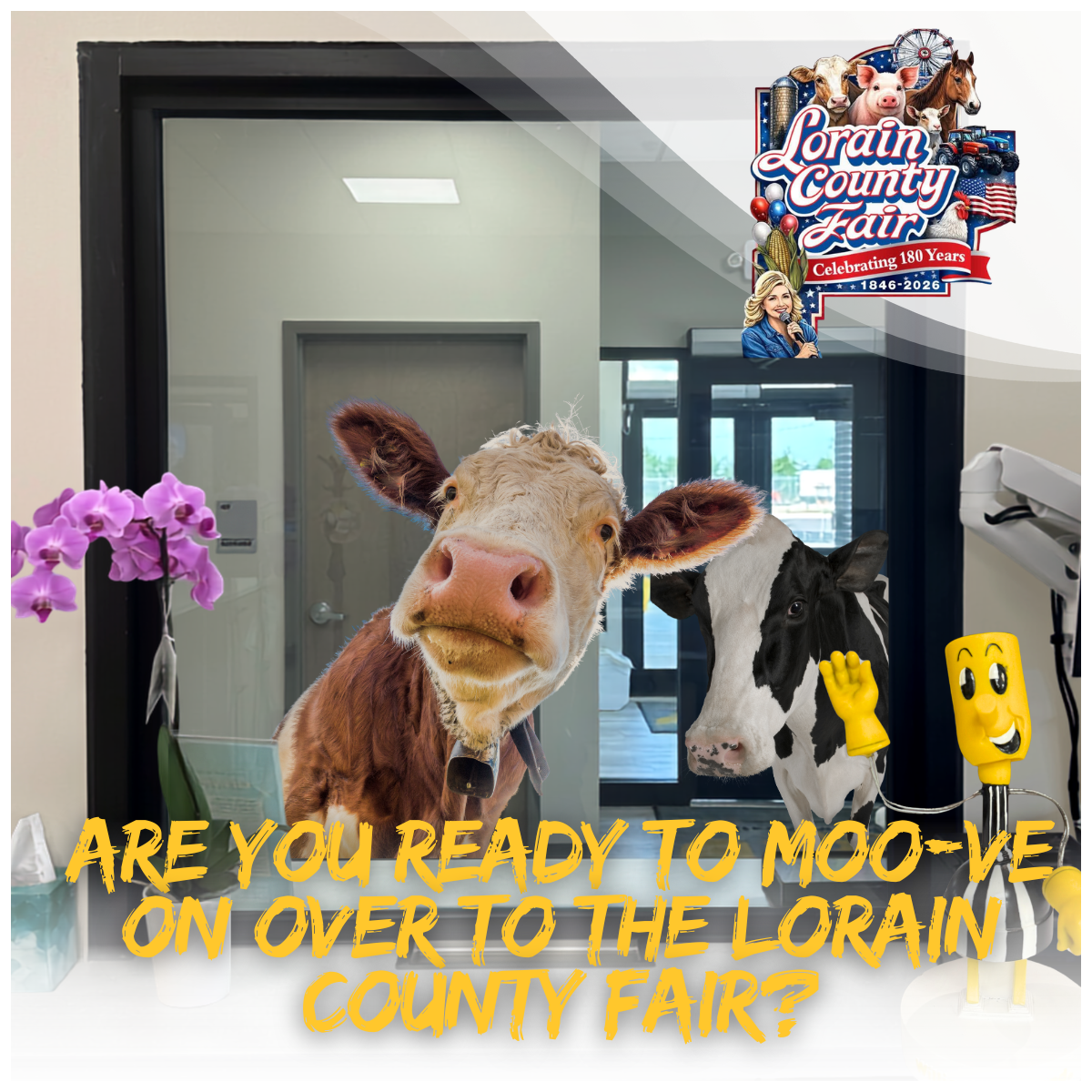 Lorain County Fair graphic