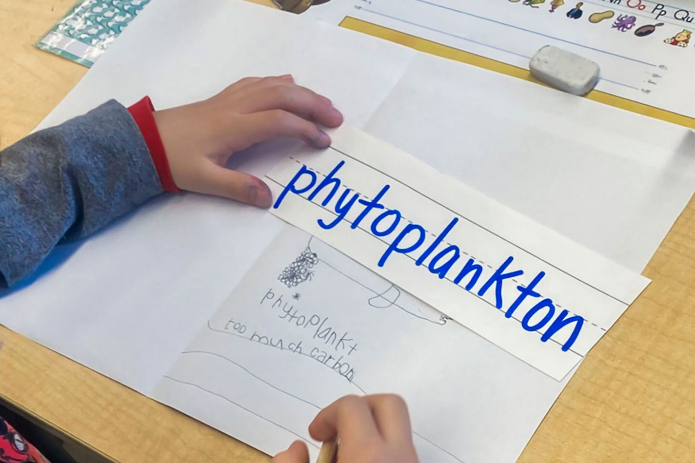 A child writes the word phytoplankton and its definition