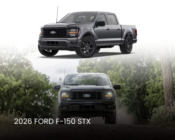 Ford F-150 STX Graphic