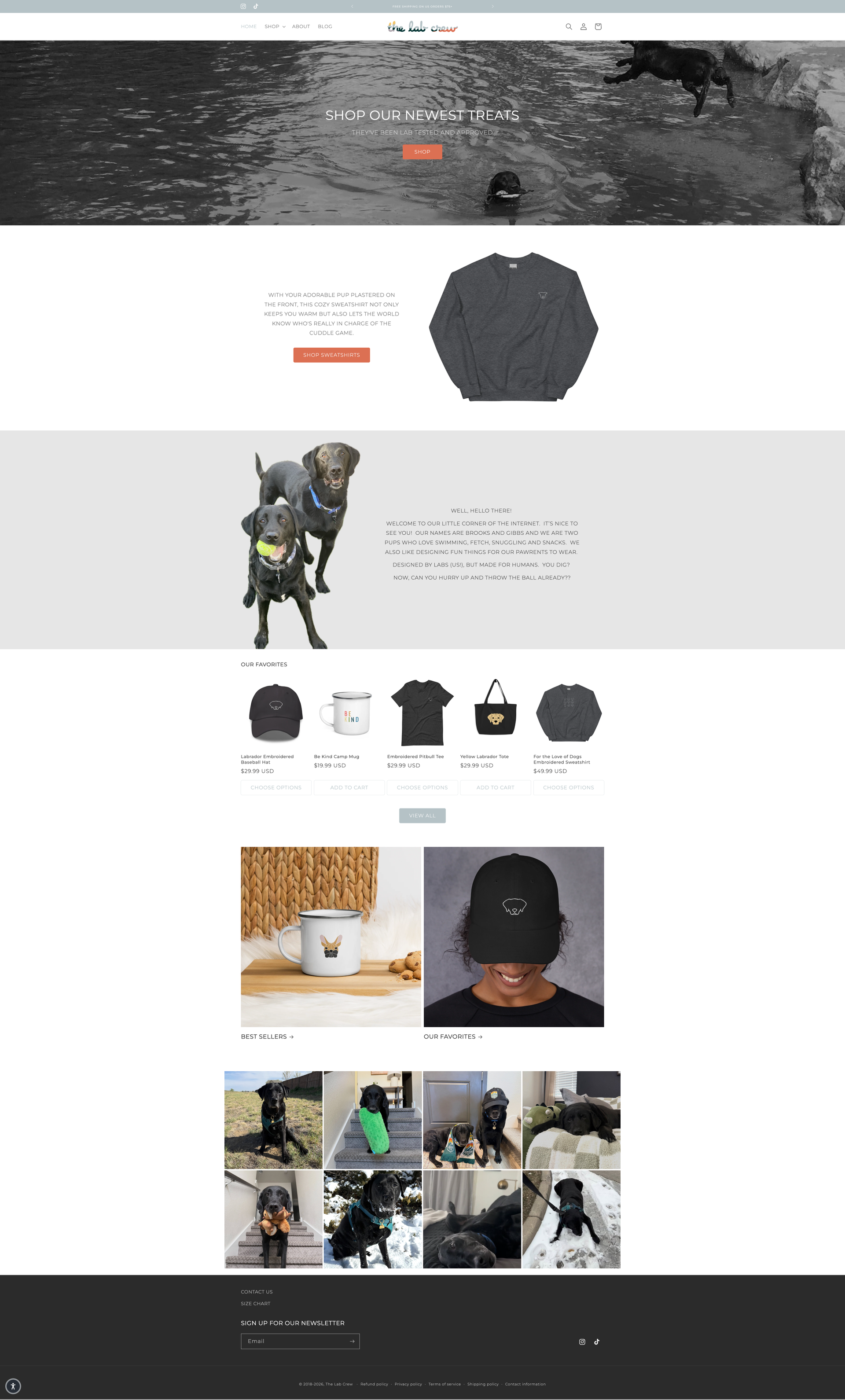 image of the lab crew website