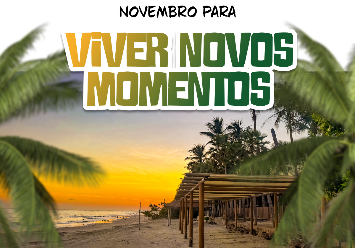 Novembro para viver novos momentos