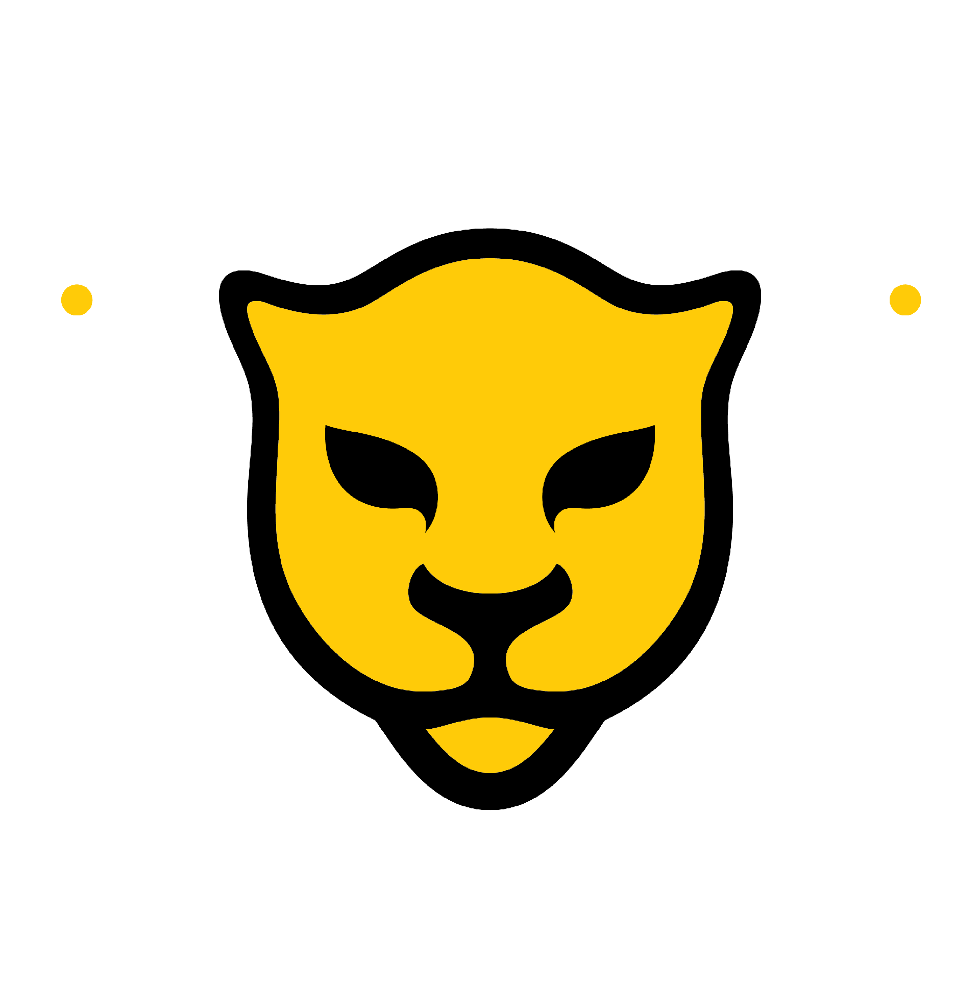 WIT Leopard Logo