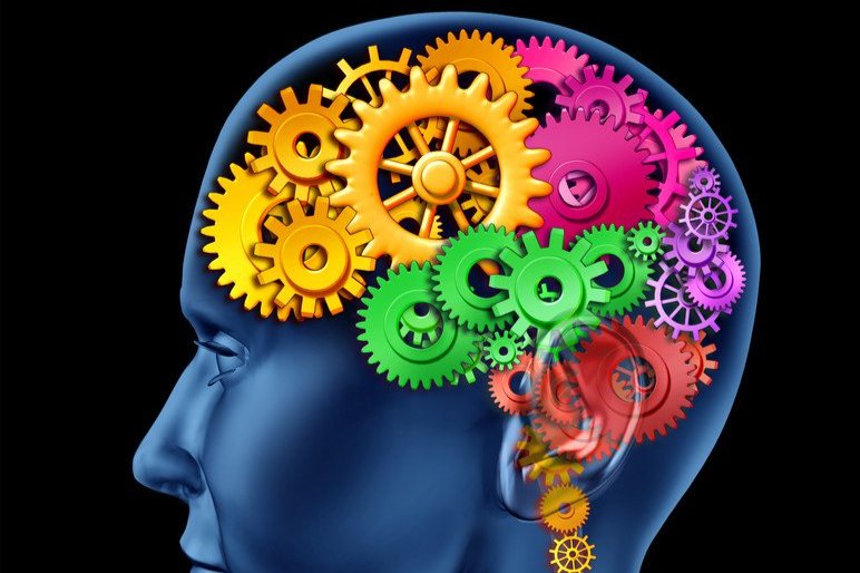 a blue human head with colorful gears in the brain