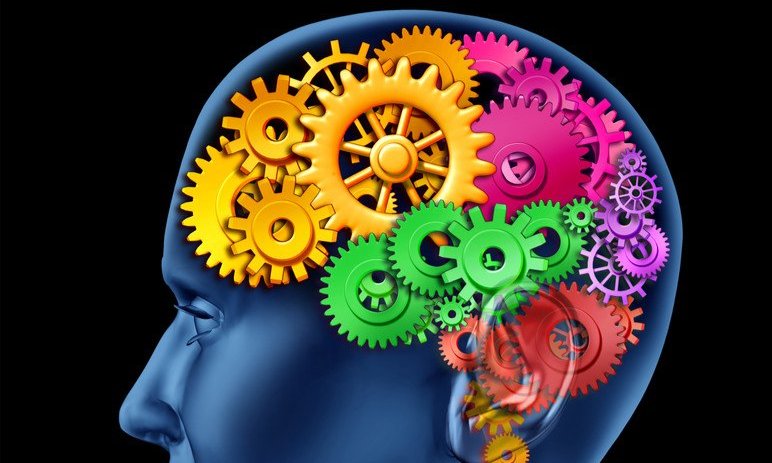 a head with gears in it