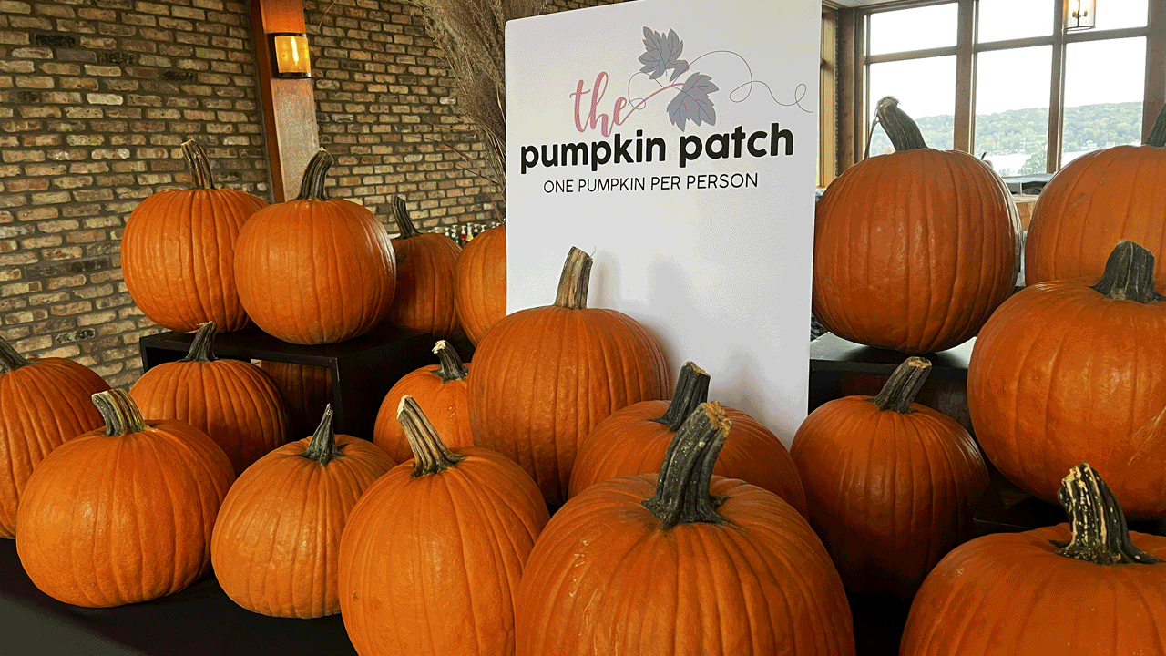 Pumpkin