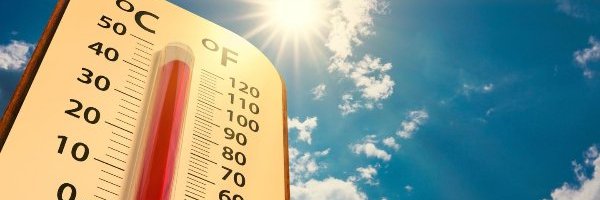 COUP DE POUCE EN VILLE AVEC LE PROGRAMME MARGUERITE 