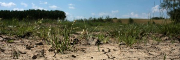 VOTRE RENDEZ-VOUS POUR UN TRI DES DÉCHETS EFFICACE AVEC L'UMIH 13 ET CITEO PRO