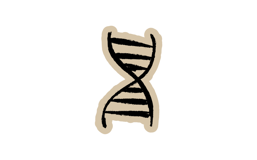 DNA Sun damages DNA