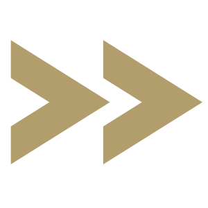 gold double arrows to the right