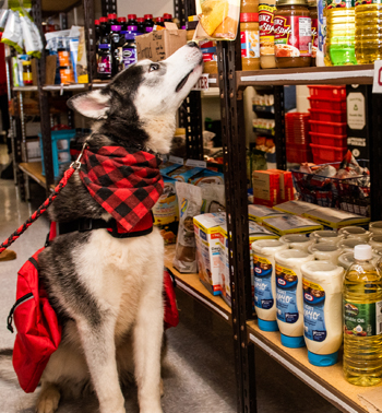 Huskie Food Pantry