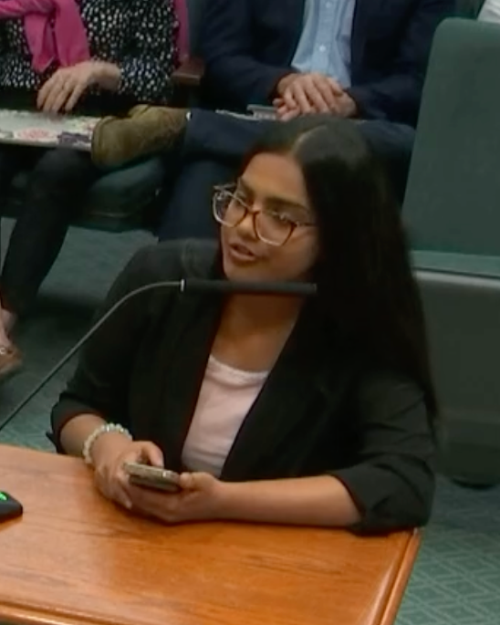 SEAT communications associate testifies on DEI and book bans