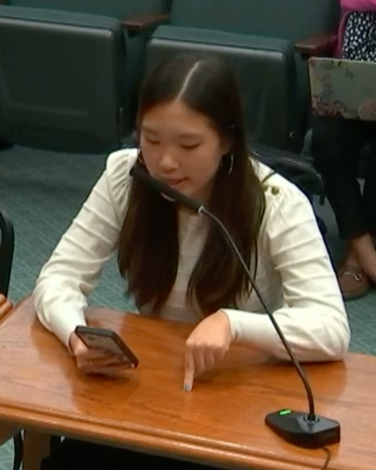 SEAT organizer testifies on book bans